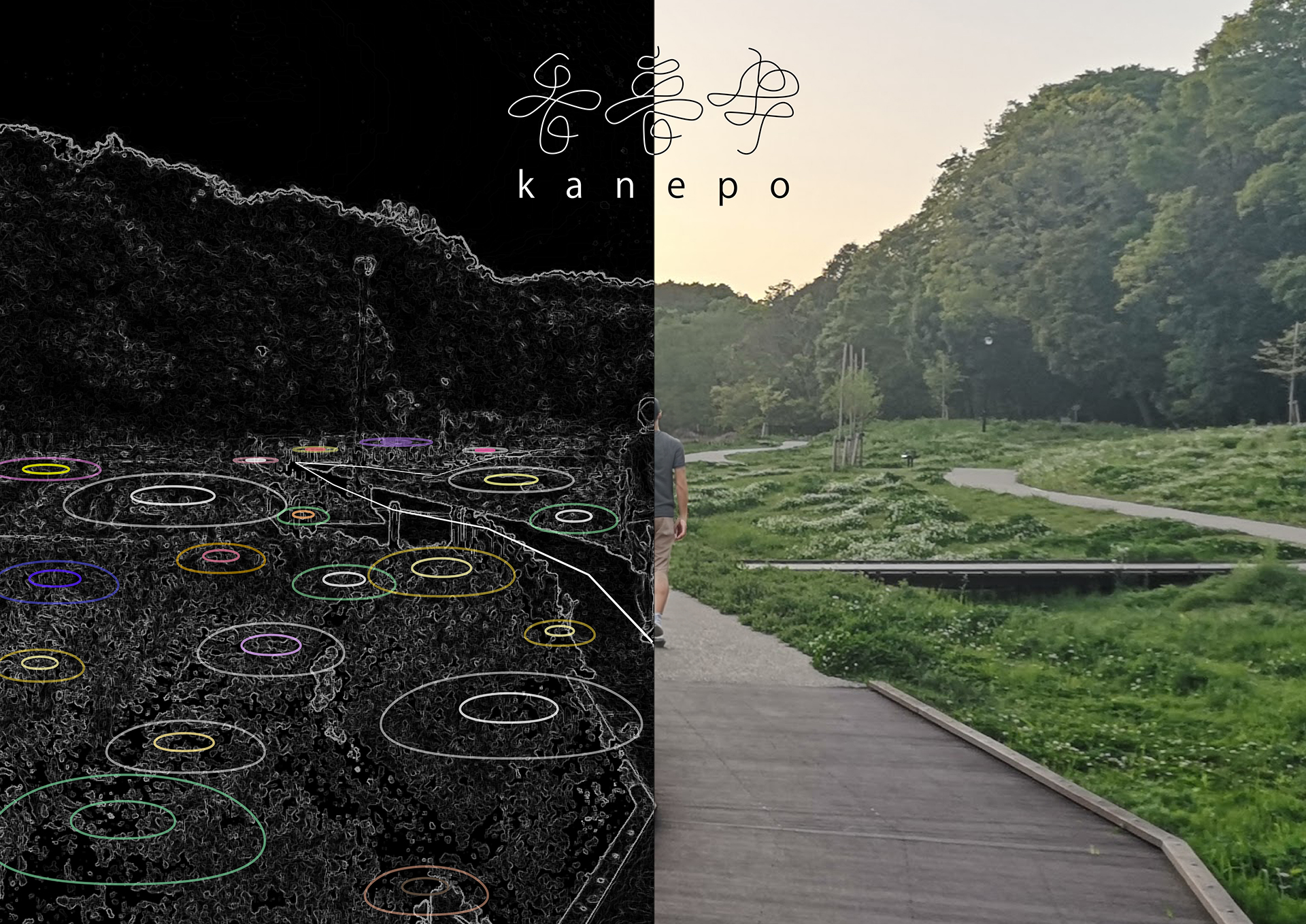 Kanepo
